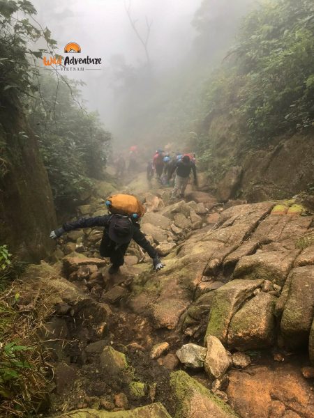 sinh tồn trong rừng