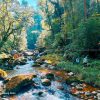 TOUR TREKKING COMBO VAN SAM AND NUI THUNG