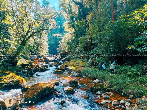 TOUR TREKKING COMBO VAN SAM AND NUI THUNG